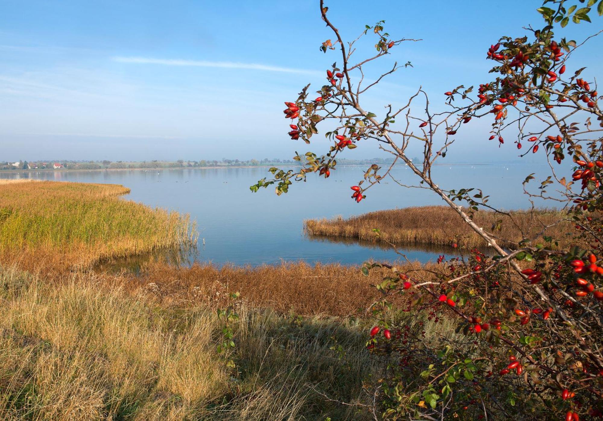 Seerose Insel Poel Exteriör bild
