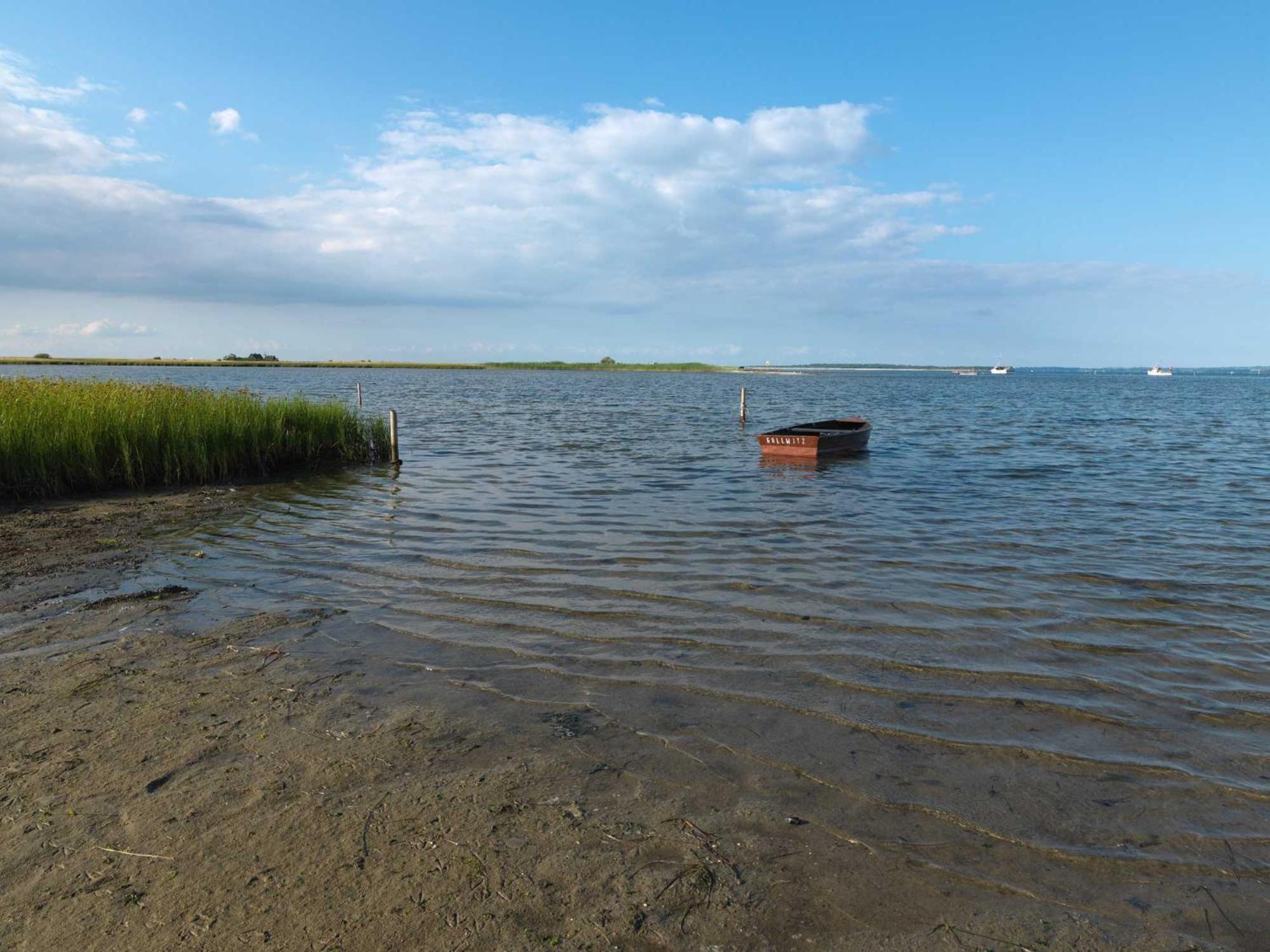 Seerose Insel Poel Exteriör bild
